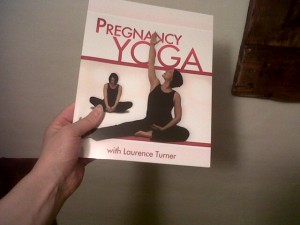 Book Pic feb11 300x225 My Book