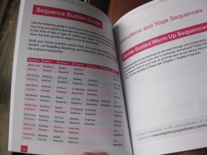 Pic Seq Builder1 300x225 My Book