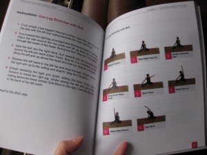 Pic Sequence2 300x225 My Book